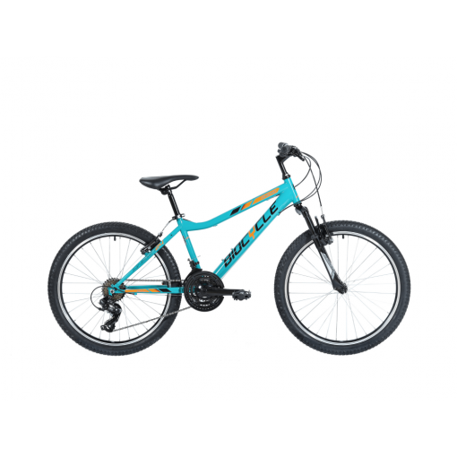 BICICLETA BIOCYCLE JUNIOR ANEXO-S 24″